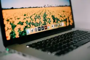 数据库中的文件类型及其重要性，在数据库中存储的是什么文件类型