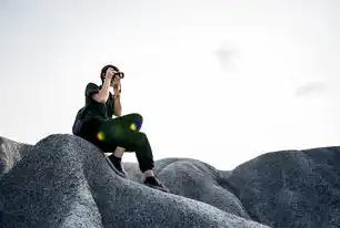 免费动态域名解析服务器的全面指南，免费动态域名解析服务器是什么