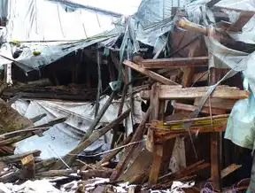 建筑垃圾资源化处置模式的多样化探索与实践，建筑垃圾资源化利用规范条件