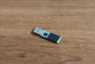动态网站整站源码下载器的全面解析与应用，动态网站整站源码下载器怎么用