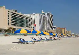 青岛旅游，探索海滨城市的魅力与活力，青岛网站优化