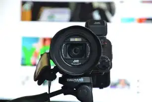 Java 云服务器，赋能企业数字化转型的技术基石，java云服务器内网穿透