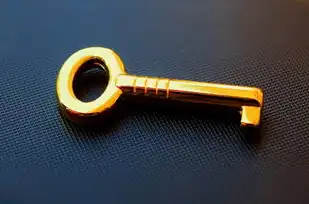 动态网站整站源码下载器的全面解析与使用指南，动态网站源代码
