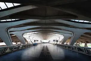 机场吞吐量，全球航空枢纽的繁忙与效率，机场吞吐量排名