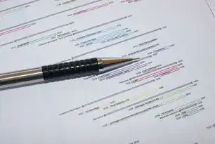 丽江关键词排名外包，提升品牌曝光率的秘密武器，丽江软件公司