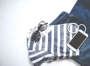 揭秘品牌服装网站的幕后秘密—从源代码到用户体验的全景解析，品牌服装网站源码是什么