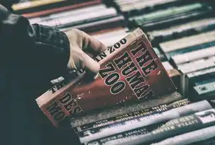 SEO在当今数字时代的持续重要性，seo现在还有用吗