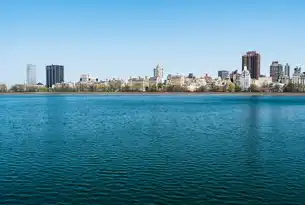 数仓与数据湖，构建企业级数据管理新生态，数仓 数据湖 数据中台 关系