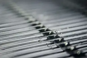 数字天水，一座陇东南城市的文化瑰宝与数字蝶变，天水网站建设团队