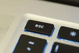 整站SEO优化，提升网站流量与排名的策略指南，整站下载器 安卓版