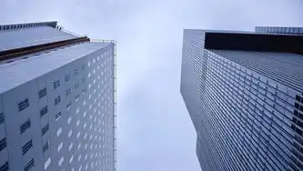 中国领先的云管平台公司，探索行业创新与未来趋势，云管平台解决方案