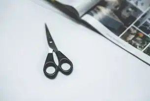 2023年最佳持续集成（CI）工具排名，提升开发效率与质量的新选择，可持续集成测试