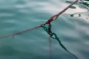 香港PCCW服务器，亚太数字枢纽的弹性算力解决方案与行业赋能实践，香港cera服务器