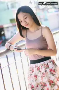 探索网络世界的宝藏，网站快照，网站快照历史