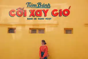 北京SEO速度缓慢的原因及优化策略，北京seo方法