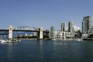 全球吞吐量排名前十的超级大港，中国的骄傲与贡献，全球吞吐量最大港口