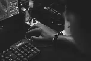 音视频分布式行业翘楚，前十名厂商实力解析，音视频排名前十的厂家