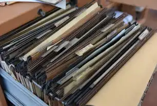 文件存储操作指南，从基础到高级技巧，文件存储方法