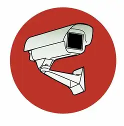 威胁检测与防范，构建网络安全防线，威胁检测与防范措施