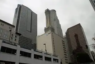 白云区社会组织管理局，助力社区治理新篇章，白云区社会组织管理局电话