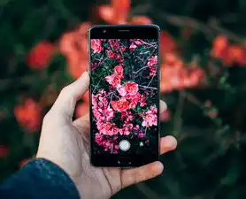 荣耀手机存储文档查找指南，全面解析与实用技巧，荣耀手机存储文档在哪里找到