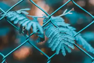 谷歌SEO优化教程，提升网站排名与流量的秘诀，谷歌seo零基础教程
