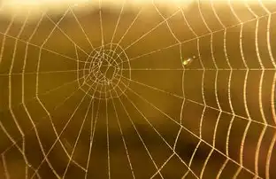 超融合基础软件概述，超融合 软件