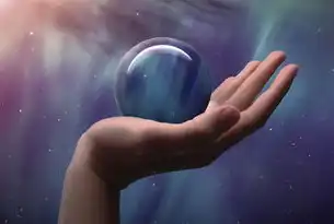 金蝶云星空公有云，助力企业数字化转型的新引擎，金蝶云星空公有云和私有云区别
