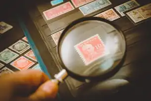 独享带宽服务器，企业数字化转型的战略级基础设施，独享带宽服务器怎么设置