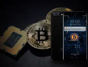 江西电信服务器IP，探索数字世界的秘密通道，江西电信的服务器ip是哪个
