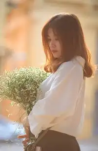 服务器开启Curl，探索网络通信的新境界，服务器开启远程桌面