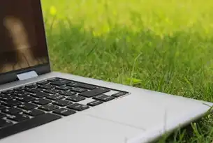 app软件租服务器价格，揭秘如何选择性价比最高的方案！app服务器租赁