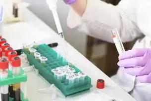 压力测试，探索极限与突破—深度解析与实战指南，压力测试模板图片素材