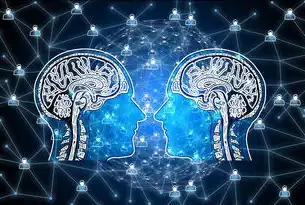 行业属性的多样性与深度解析，行业的属性有哪些方面