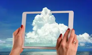 云空间与云服务器的协同作用，构建高效、灵活的企业IT基础设施，云空间和云服务器一样吗