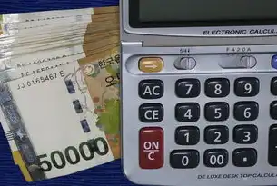 韩国服务器价格解析，性价比与选择的考量，韩国低价服务器