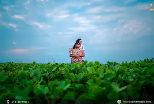 梦幻之约，探索全球顶尖婚纱摄影网站的璀璨魅力，婚纱摄影网站毕业论文