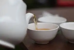 电子商务网站全流程解析，从架构设计到用户体验的核心要素，电子商务网站设计方案模板