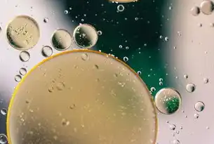 数字滇池新基建，解析昆明DNS服务的技术架构与区域赋能实践，昆明dns地址查询