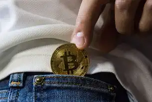桌面虚拟化的利与弊，全面解析其优缺点，桌面虚拟化优缺点是什么