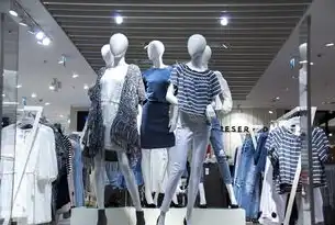 品牌服装网站源码，打造个性化时尚购物体验，品牌服装网站源码查询