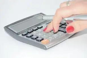 服务器购置与维护成本分析，搭建服务器需要多少钱