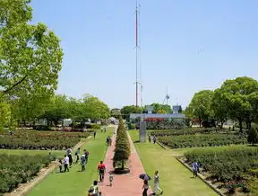 探索免费云桌面管理软件，高效办公新选择，云桌面管理软件有免费的吗知乎