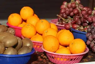 蔬菜销售网站源码，打造高效便捷的线上购物体验，蔬菜销售网站源码有哪些