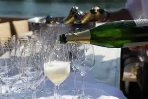 酒业网站，探索中国白酒文化之旅，酒业公司网站