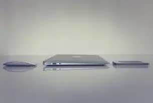服务器选择，广州与深圳—打造高效、稳定的数据中心，广州和深圳的it行业对比