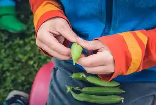 左卵巢内混合结构的临床意义与诊断探讨，左卵巢内混合结构是什么意思啊