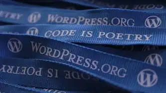 WordPress SEO优化，提升网站排名与流量的终极指南，wordpress seo教程