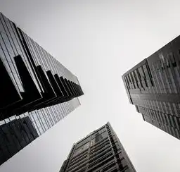 香港高防服务器租用的全面解析与选择指南，香港高防服务器租用三网cn2