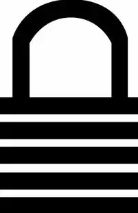 应用安全锁下载官方版，保护隐私与数据安全的终极利器，应用安全锁在哪里